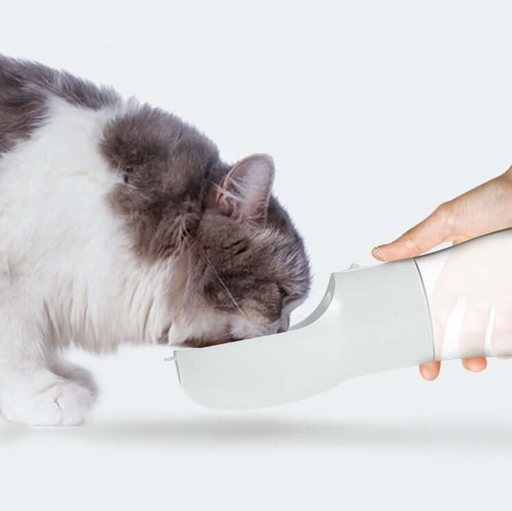 Cat drinking from portable pet water dispenser, showcasing convenience for pet hydration.