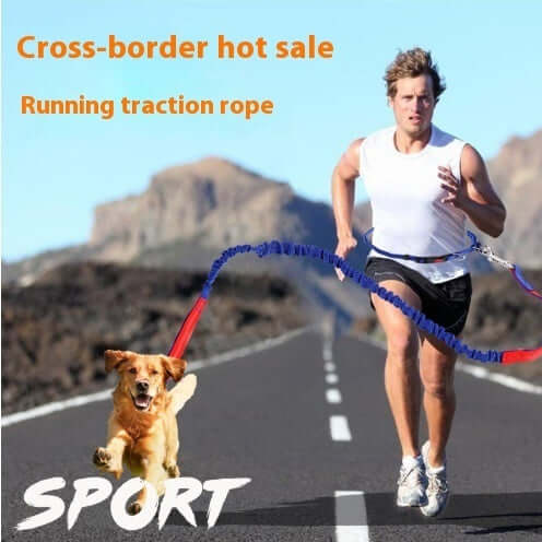 Man jogging with a dog using a hands-free dog leash for jogging on a scenic road.