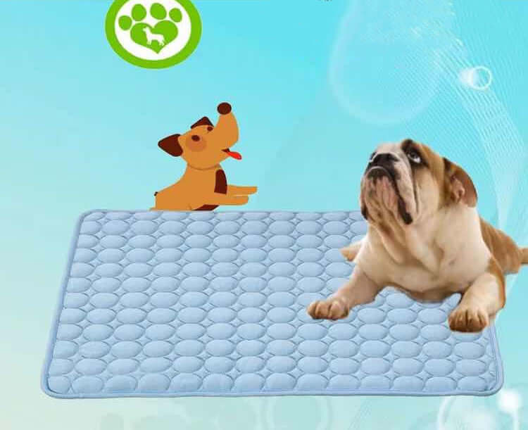 summer cooling mats for pets with a dog resting on a blue mat designed for pet comfort in hot weather.