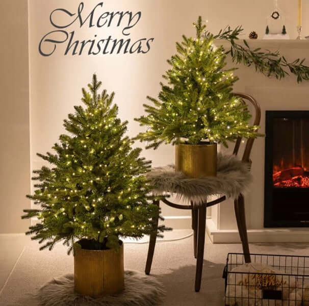 Christmas Tree Encryption Flame Retardant Christmas Decoration Super Environmentally Friendly Christmas Product with lights.