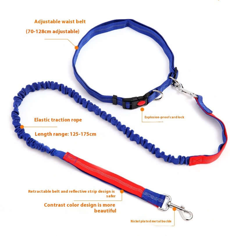 Hands-free dog leash for jogging with adjustable waist belt and elastic leash, perfect for outdoor activities.