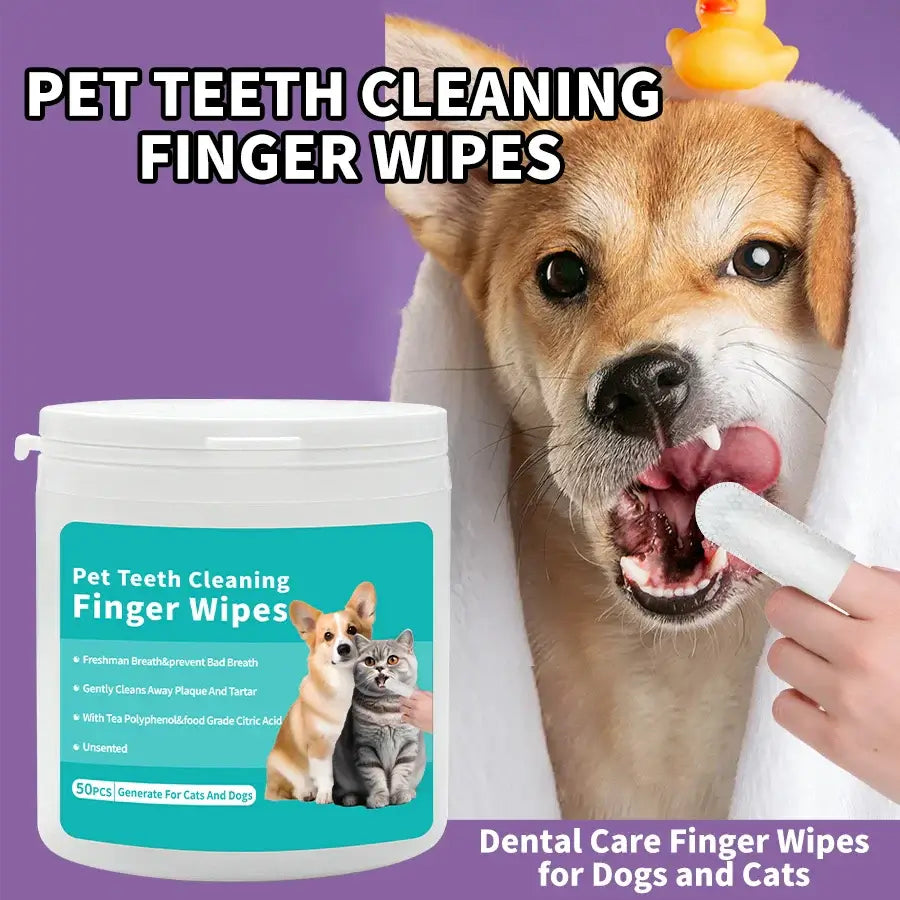 Pet ear and teeth cleaning wipes for dogs and cats in use, promoting dental hygiene.